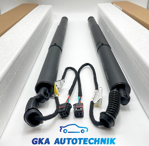 Paar elektrische gasfeder - paar,