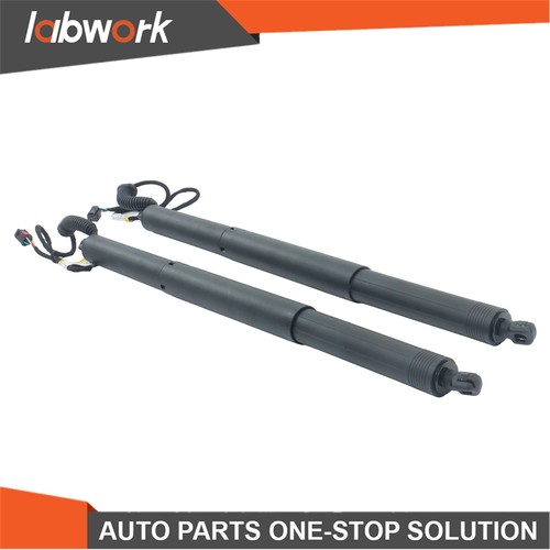 Gasfeder elektrische - 2x,