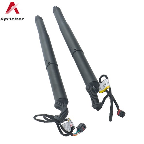 Gasfeder elektrische - 2x,