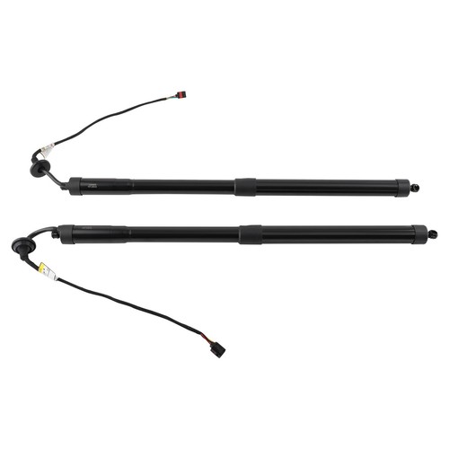 Electric tailgate damper - 2x,