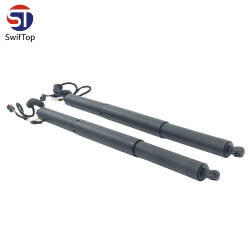 Gasfeder elektrische - 2x,