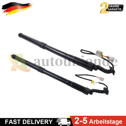 Pair für lexus nx200 - nx200, nx300h